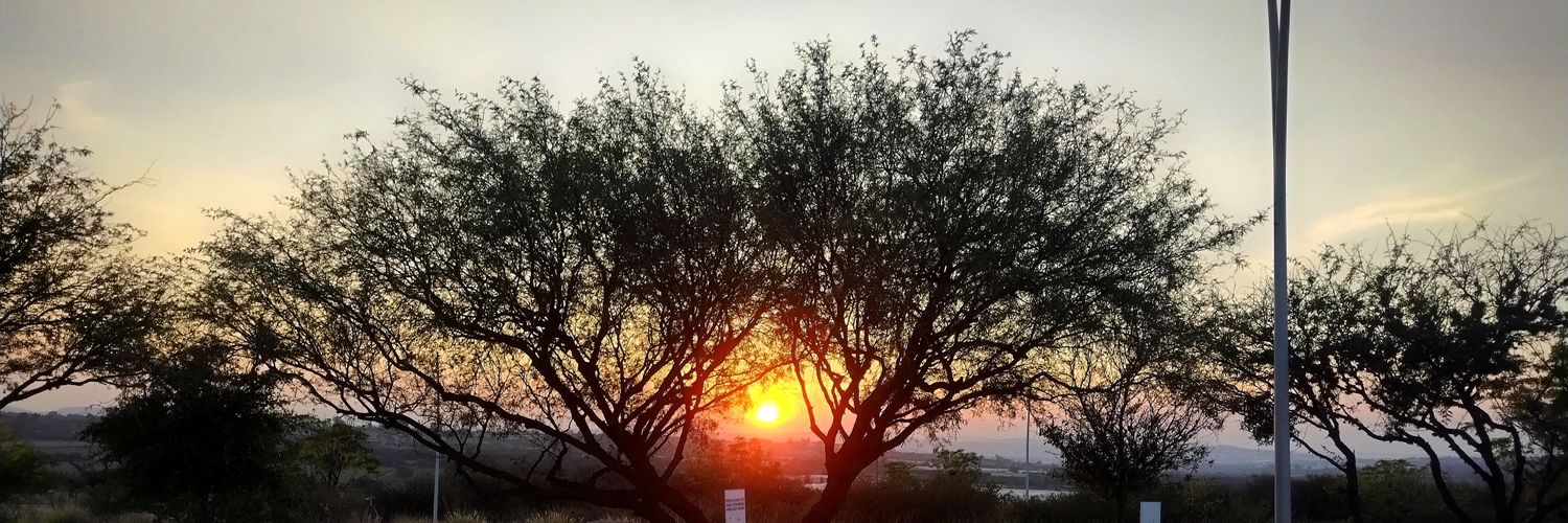 Juan Carlos Miranda Arroyo banner