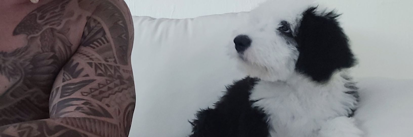 RinconRodrigo's profile banner image