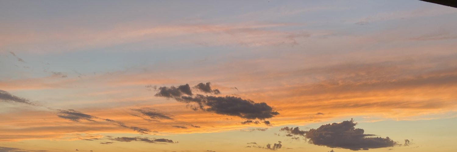 Meaghan Walker banner