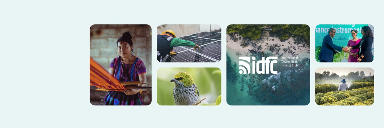 International Development Finance Club banner