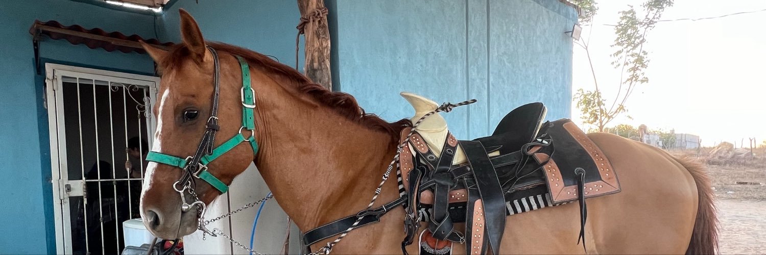 JoguCrash's profile banner image