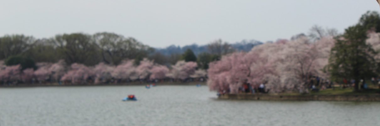 Eduardo Gonzalez banner