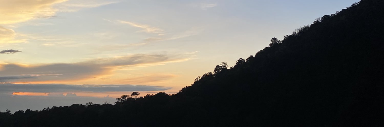noahs42's profile banner image