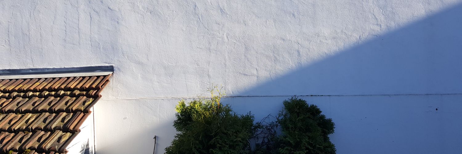 Carola Hesch banner