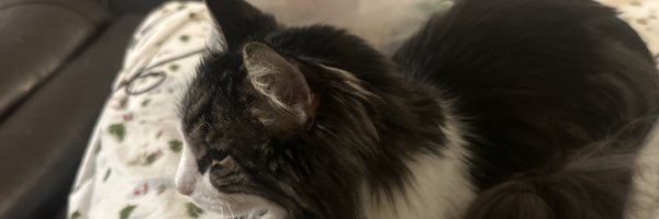 cookieproblems Profile Banner