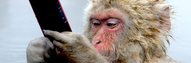 Monkeylaleyenda's profile banner image