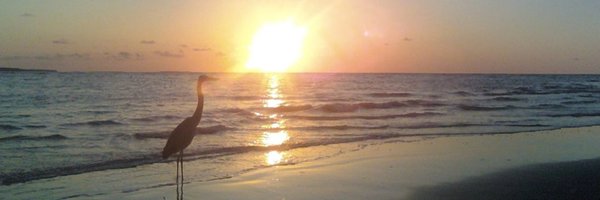 DrMBergeron_01 Profile Banner