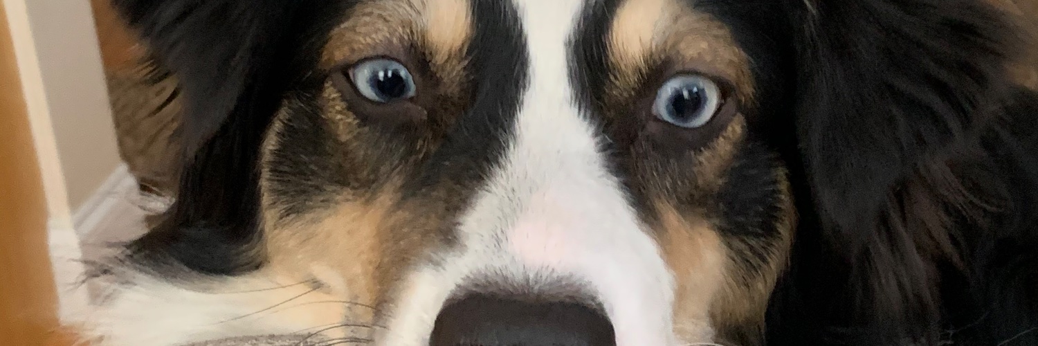 KammyFree's profile banner image