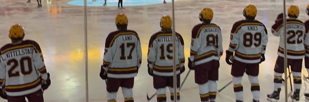 Gopher Sports banner