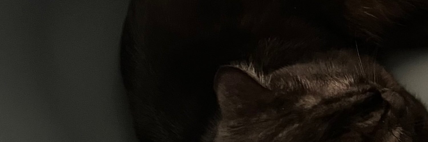squidbm_'s profile banner image