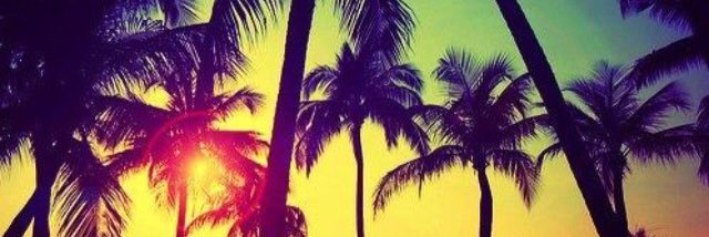 tellittolee's profile banner image