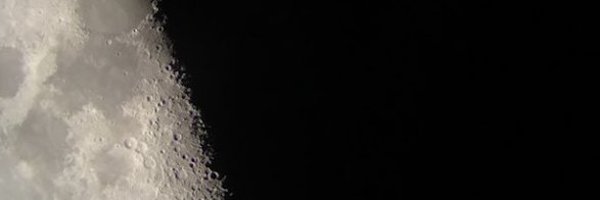 COccy Profile Banner