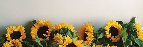 dadii_16's profile banner image