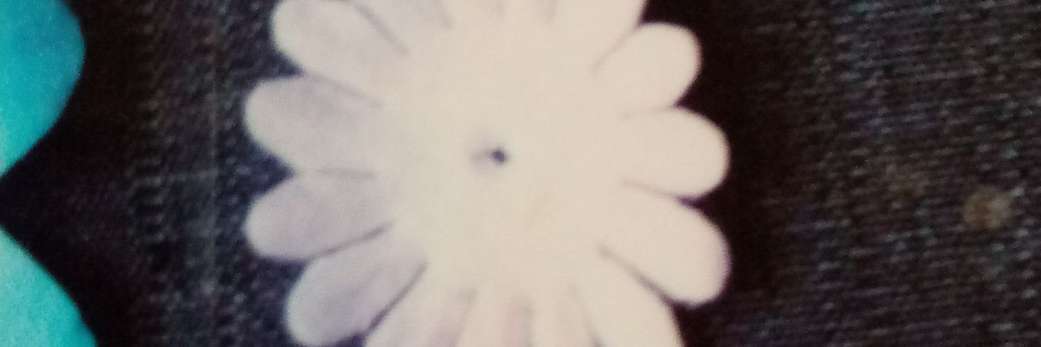 HNERanmaU's profile banner image