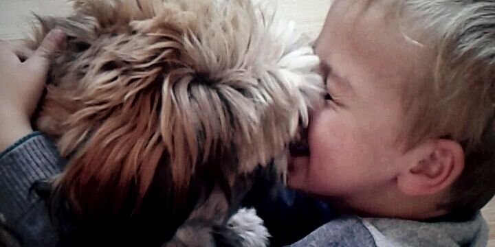 MissDaisyLouise's profile banner image