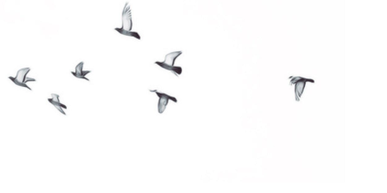 haoda_75's profile banner image