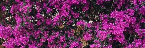 x__hind's profile banner image