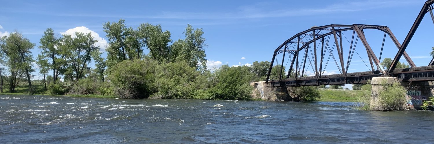 Christina Morrisett, PhD banner