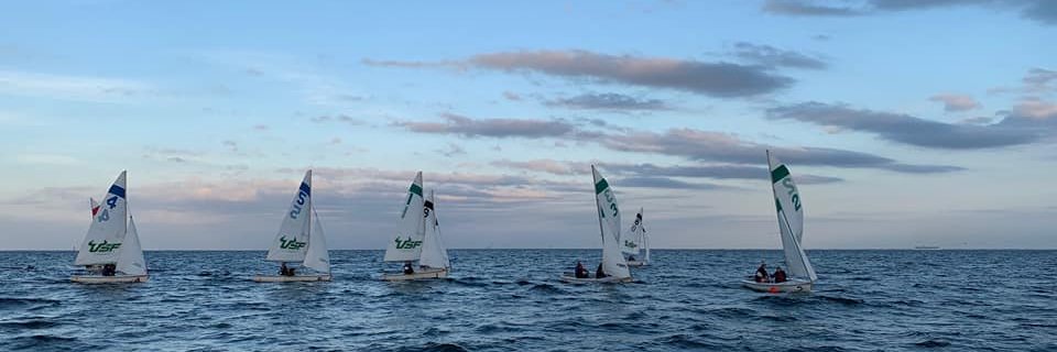 USF Sailing Team banner
