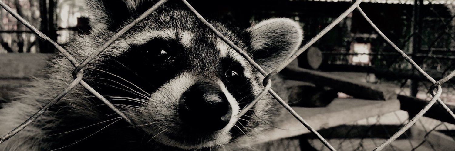 Arturo Pendragon banner