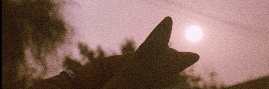 m_awadas's profile banner image
