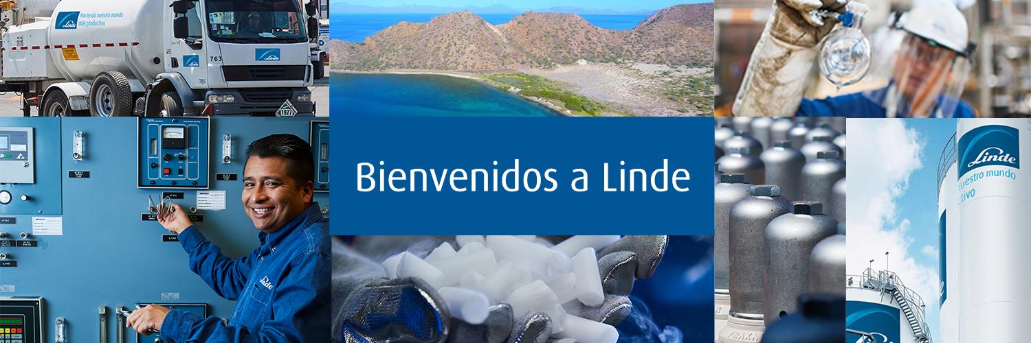 Linde México banner