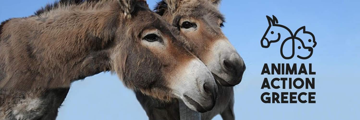 Animal Action Greece banner