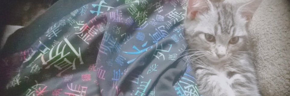 れいしぃ banner