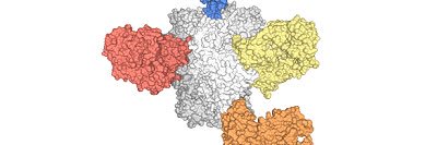 Marit van Gils 👩🏻‍🔬🦠🧬🔬 banner