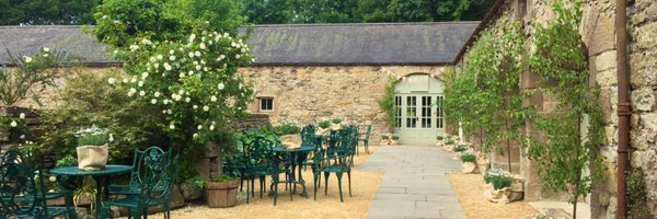 WedderburnNews Profile Banner