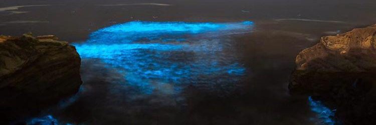 JoseContreras_'s profile banner image