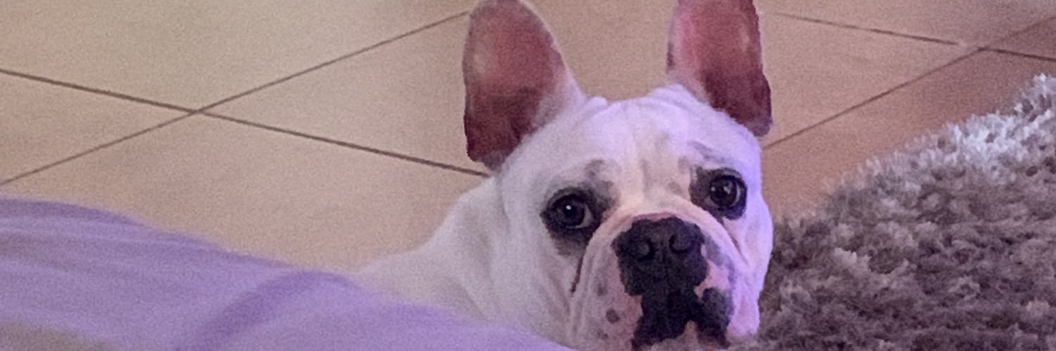 natisenna_'s profile banner image