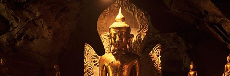 Stephen murphy banner