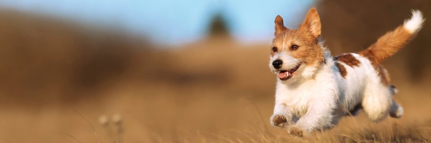 northriverent's profile banner image