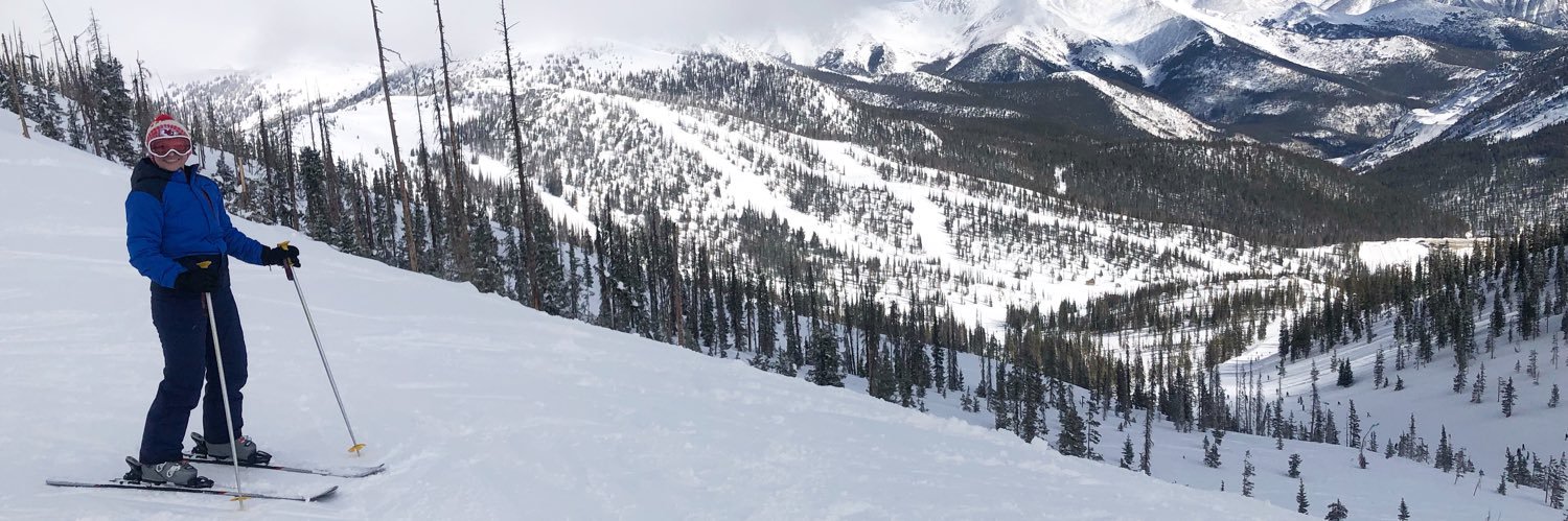 brittanydwarner banner