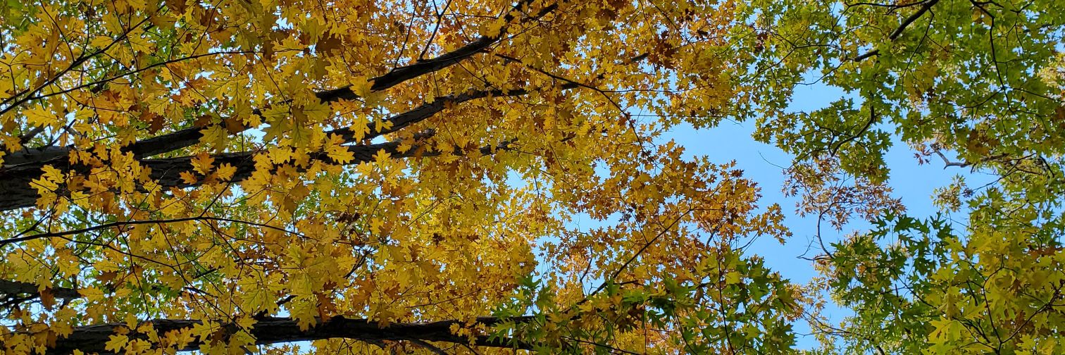 gretch093's profile banner image