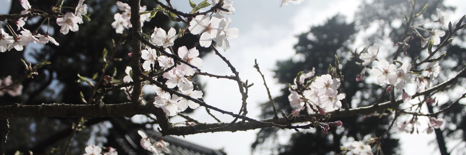 emilovesyu's profile banner image