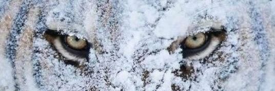 Albert86387258's profile banner image