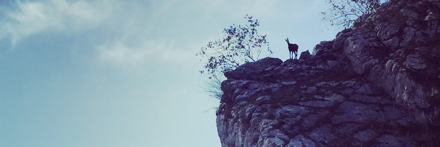 qdecdev's profile banner image