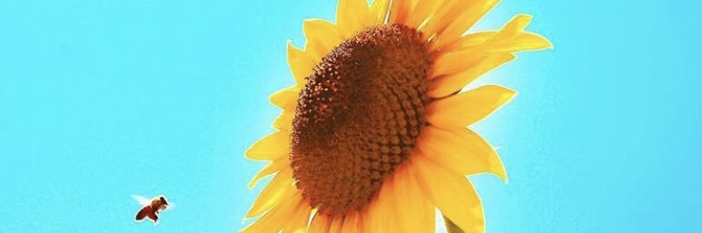 beebee080's profile banner image