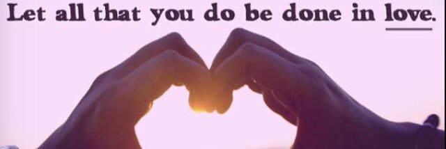 lover of pets banner