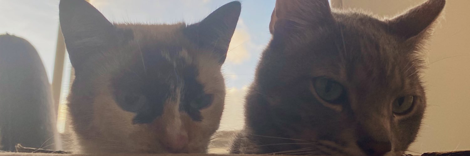 Estebanconb_'s profile banner image