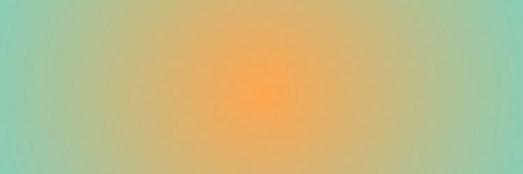 banjo banner