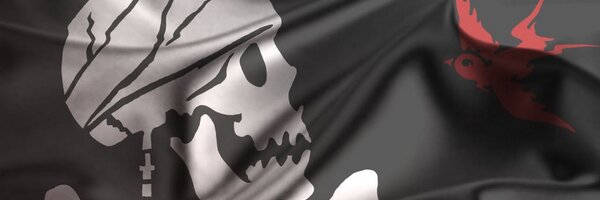 partlyPirate Profile Banner