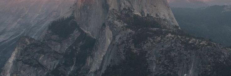 Lavender_Cub's profile banner image