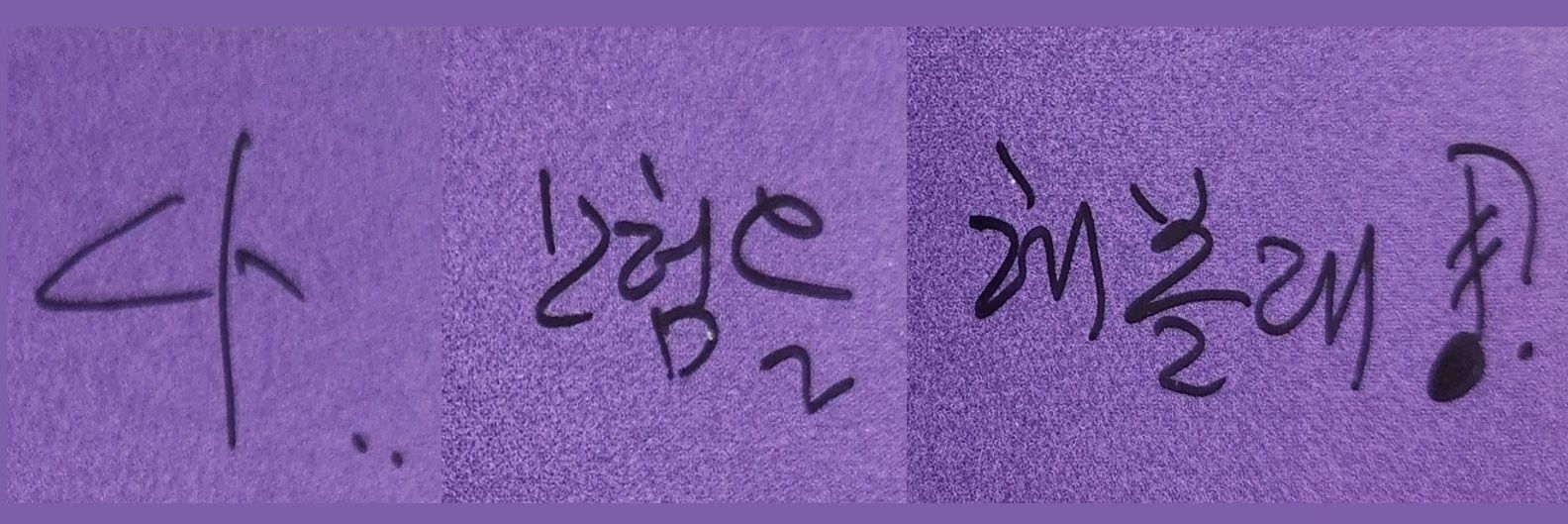 aloha_duk's profile banner image