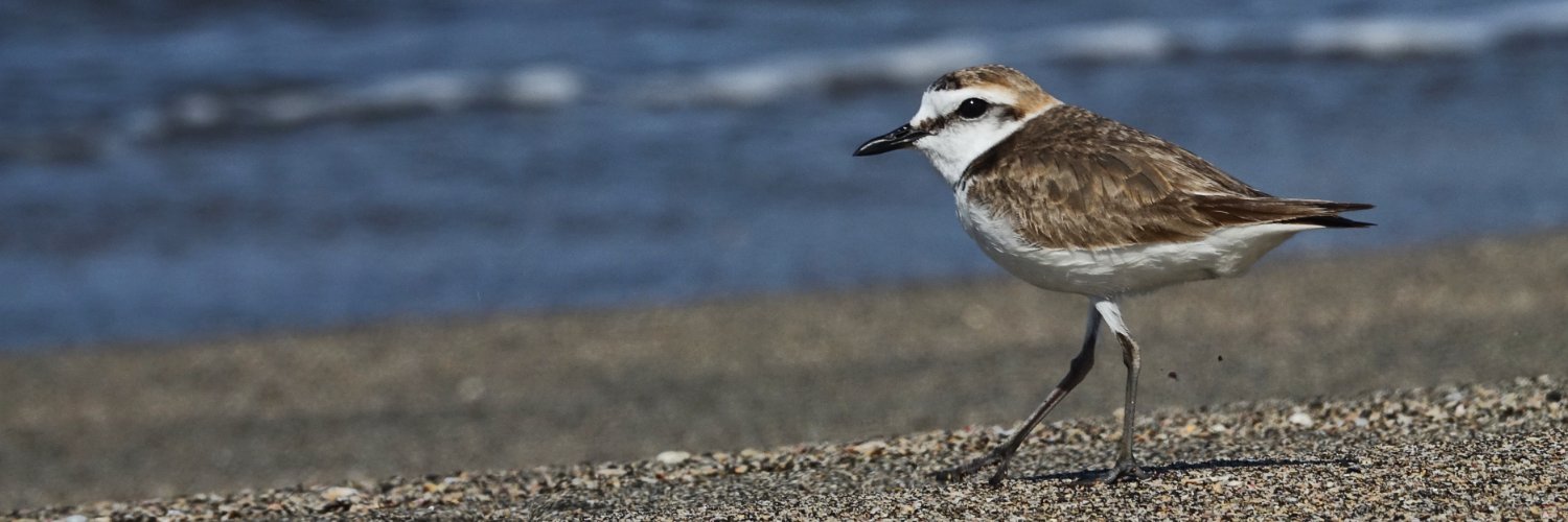 南房総 海辺の記録 banner