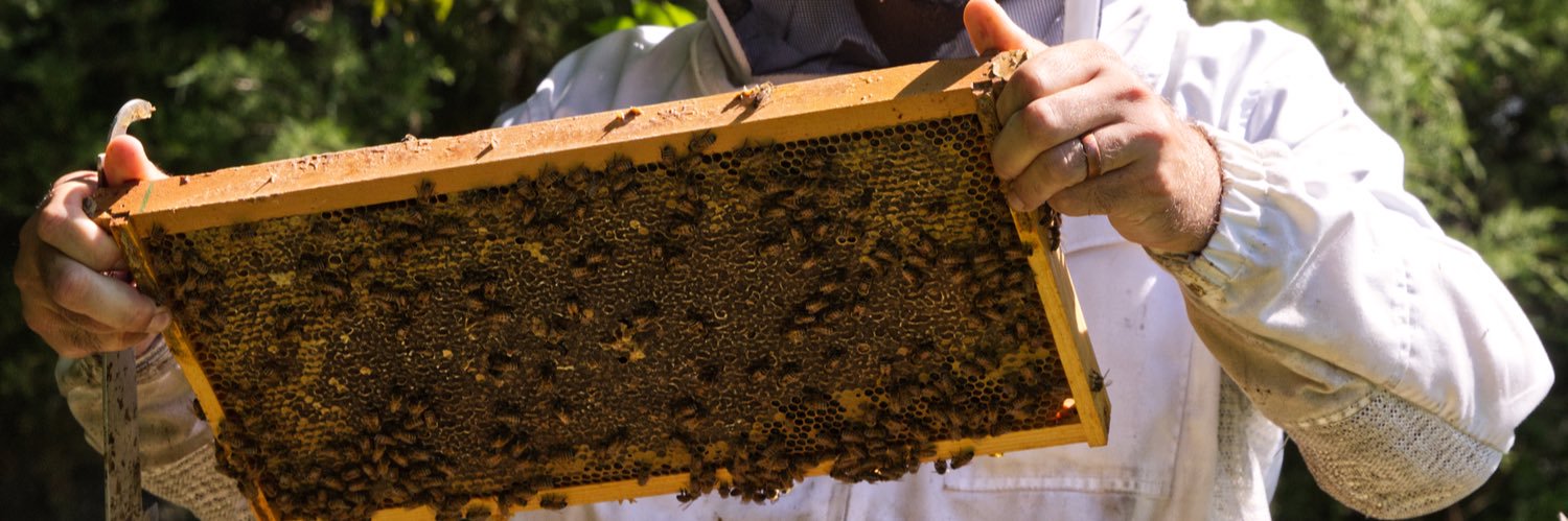 UDAgNaturalResources banner