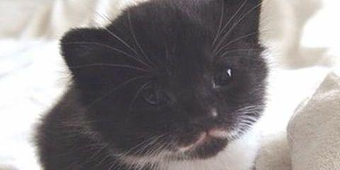 annaXdiesel's profile banner image