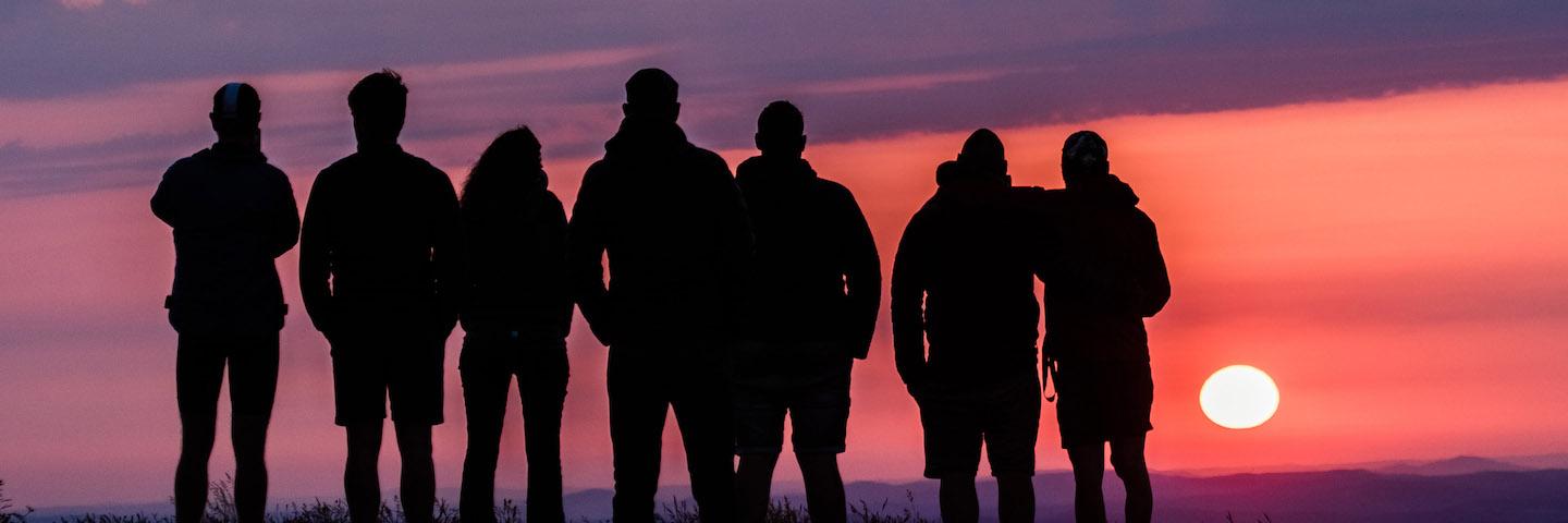 BEREFLEX's profile banner image